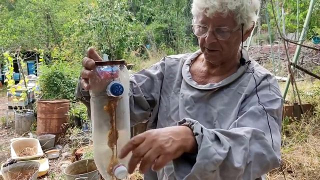 подробный обзор нуклеуса Джинн и стенд облетник для пчелиной матки смотреть онлайн