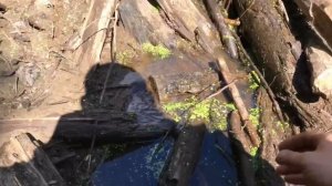 Таёжный зов 2018. 4х4 Сибирь Троферс