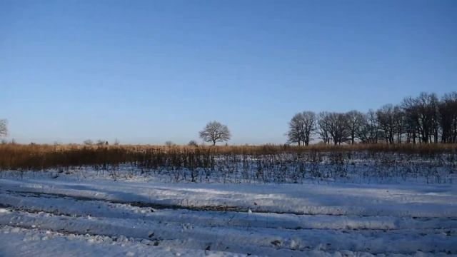 Огромные динамики JBL 18 в полке Калины ? смотреть онлайн