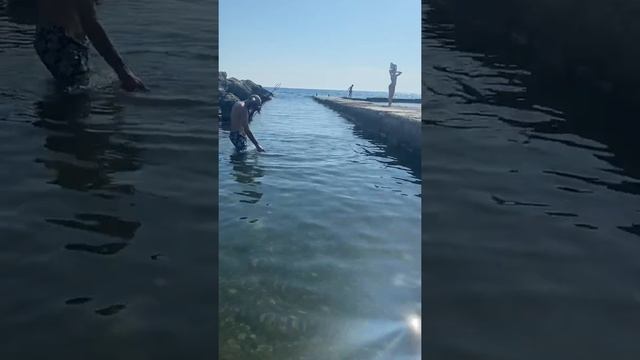 Горбыль Чёрное море смотреть онлайн