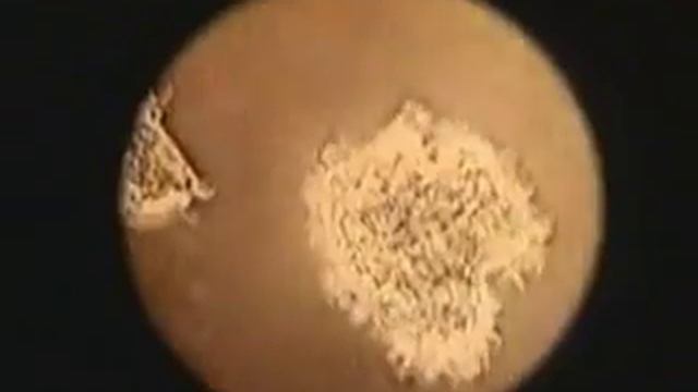 Роль воды в жизнедеятельности человека смотреть онлайн