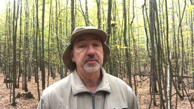 Равноденствие, переход Солнца в Знак Весов. смотреть онлайн