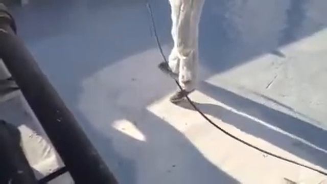 Ремонт террас полиуретановой мастикой смотреть онлайн