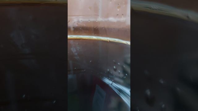 Молод и Глуп на гитаре смотреть онлайн