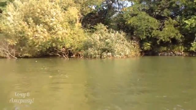 Где поплавать на лодке в Нью-Йорке смотреть онлайн