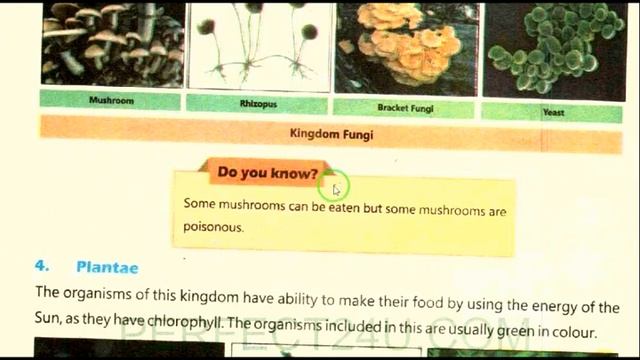 general science||class 5||unit 1 classification of living organisms||pat 3||fungi,plantae & animali смотреть онлайн