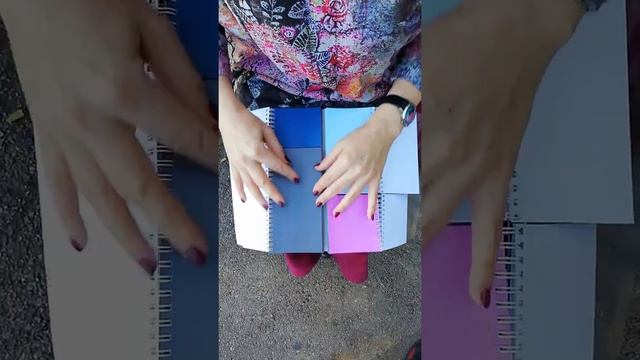 Авторский инструмент для стилистов - Комбинатор цвета для колорита "Мягкая Зима" смотреть онлайн