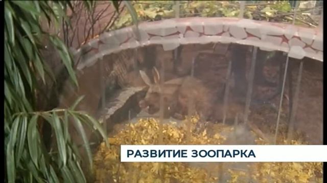 Интервью, 17 декабря 2019 смотреть онлайн