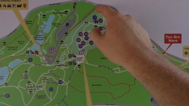 Мандалы Восприятия