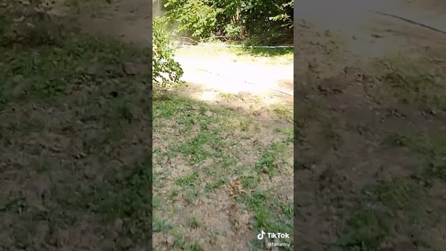 Аторвала бампер смотреть онлайн