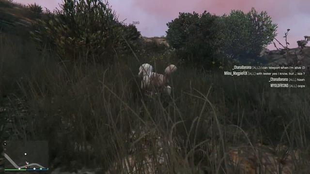 How do players react to animals in GTA 5 Online? смотреть онлайн