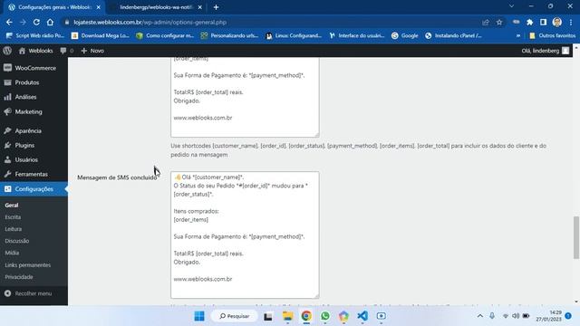 Plugin API WhatsApp Wordpress WooCommerce. смотреть онлайн