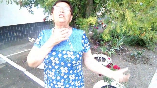 Немного юмора в ленту смотреть онлайн