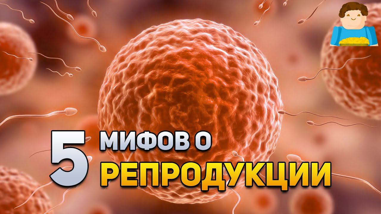 5 мифов о репродукции человека | Plushkin смотреть онлайн