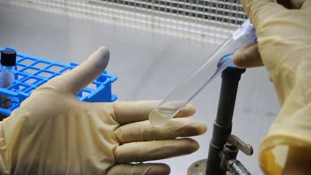 Triple Sugar-Iron Agar Test - Amrita University смотреть онлайн