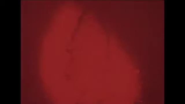 Голография и ее возможности Видеоархив МГУ имени М В Ломонос смотреть онлайн