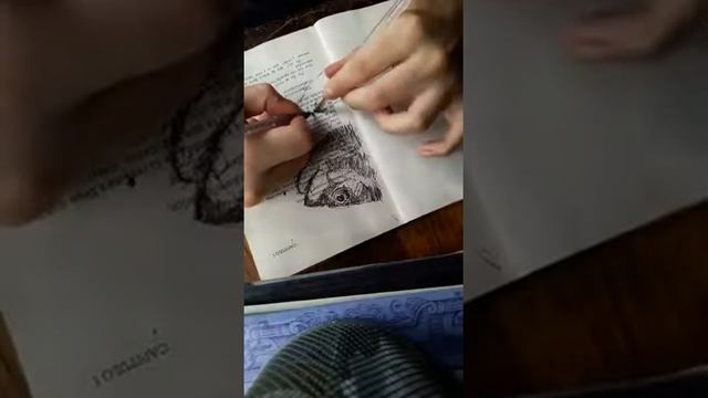Fish sketch смотреть онлайн