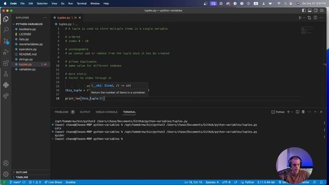 Python basics! Tuples! (2023) смотреть онлайн
