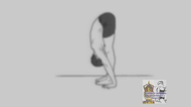 ПАДАХАСТАСАНА | ПОЗА АИСТА | АЗБУКА ЙОГИ | УРОК 5 #йога_для_начинающих #падахастасана #тренер #йог смотреть онлайн