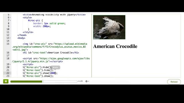 Animating visibility with jQuery | Computer Programming | Khan Academy смотреть онлайн