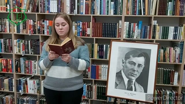 Акция "Читаем стихи М.Джалиля" Авдеева Дарья смотреть онлайн
