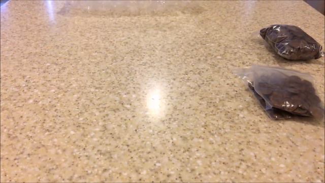 How To Grow Wisteria From Seed