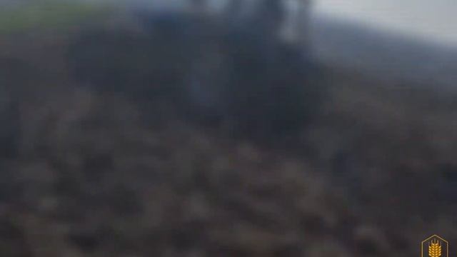 Весенняя обработка почвы. Боронование. АгроТрансПорт