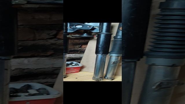 VID_20231123_121723.mp4