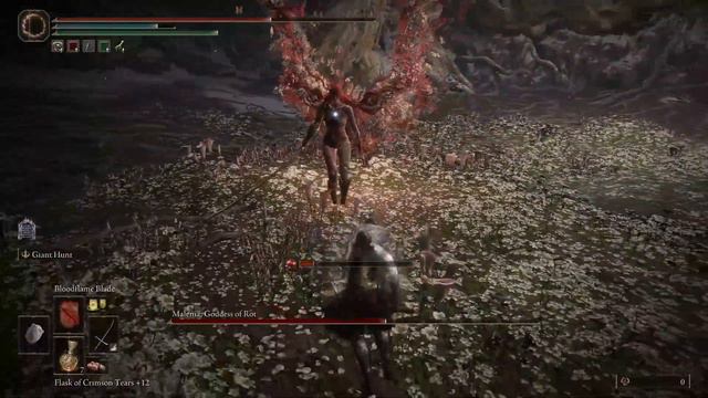 ELDEN RING - Malenia, Blade of Miquella (NG+1, solo) смотреть онлайн