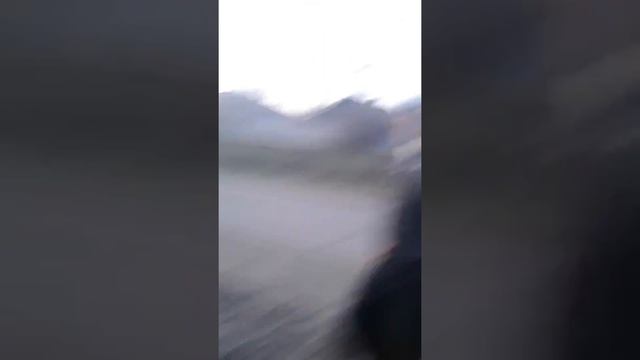 Чурка рассказывает как правильно жарить сосиски смотреть онлайн