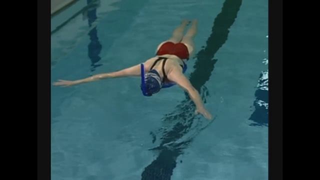 1  Баланс на животе