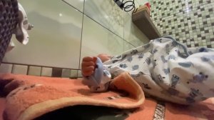 Вечер с 2 реборнами Грейсоном и Есенией Рутина перед сном с реборнами Купание реборна Evening rebor