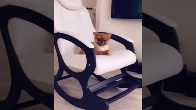 Видео отзыв кресла-качалки "Люкс с подножкой" смотреть онлайн