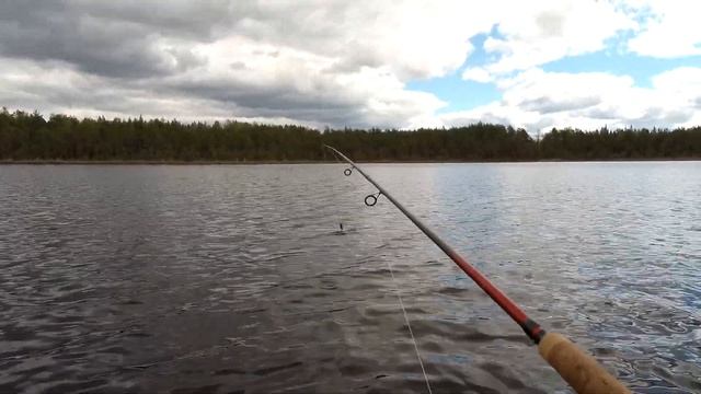 Рыбалка на лесном озере. Село Кумзеро. смотреть онлайн