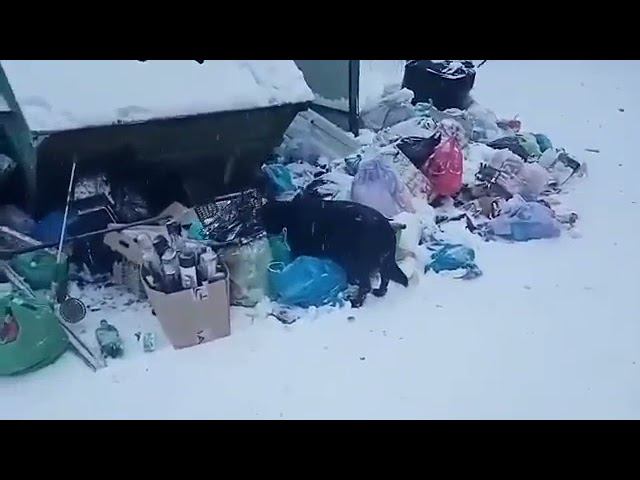 Жешарт - Свердлова, 16, мусор смотреть онлайн