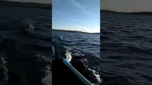 Обкатка Ямаха - 9.9 4т смотреть онлайн