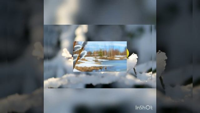 Весна идёт... Стихи Ирины Птички смотреть онлайн