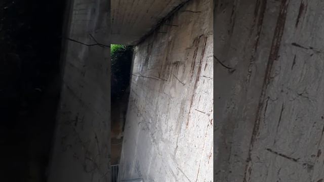 Anche Il Ponte Sul Fosso Del Diavolo Ha Bisogno Di Cure?