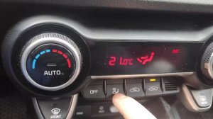 Скрип и треск заслонки климата. Rio FB