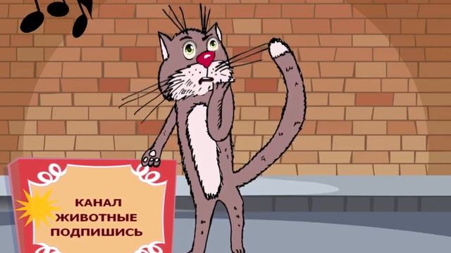Яндекс дзен канал "ЖИВОТНЫЕ" смотреть онлайн