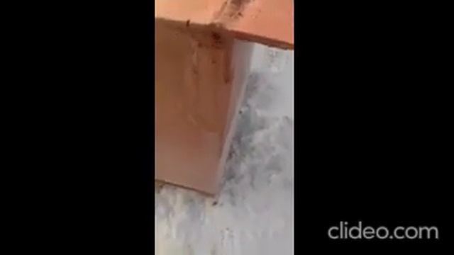 Мусорный бак для дома своими руками!