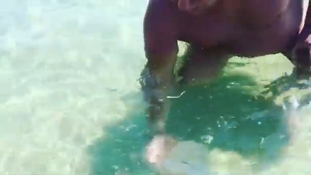 Огромные медузы Чёрного моря смотреть онлайн