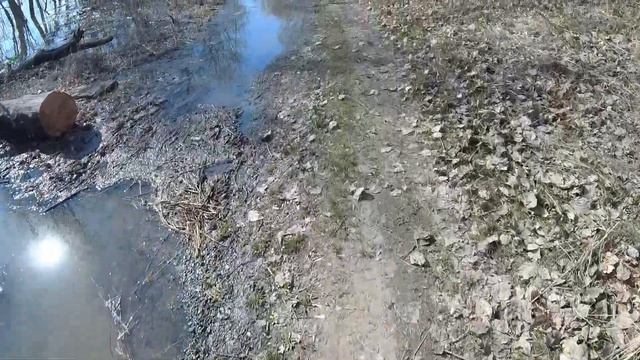 Вода поднялась, пробую рыбачить, рыба на самоизоляции или еще рано смотреть онлайн