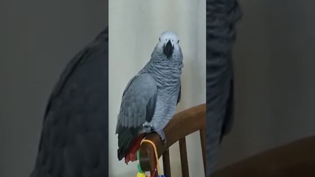 Посмотрите!..И море позитива Вам на сердце ❤️...