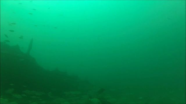 Epave Du Swansea - BEB Plongée Brest