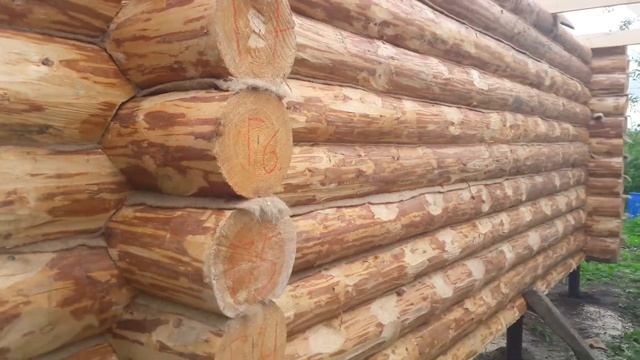 Обзор. Рубленная баня под усадку на винтовых сваях смотреть онлайн