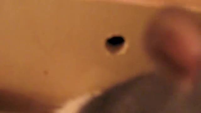Meet the rats :) смотреть онлайн