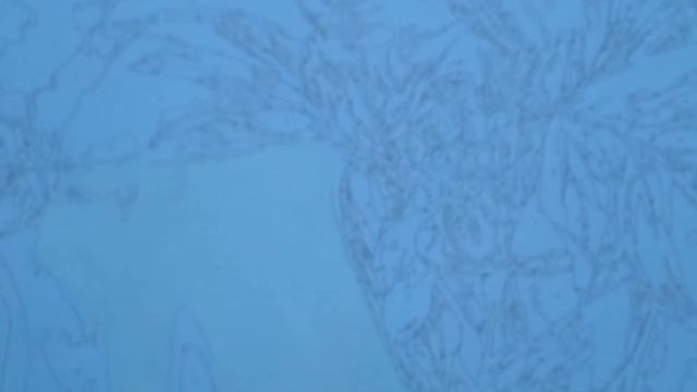 Обзор подарка." DIY PAINT BY NUMBERS. Рисование по номерам" смотреть онлайн