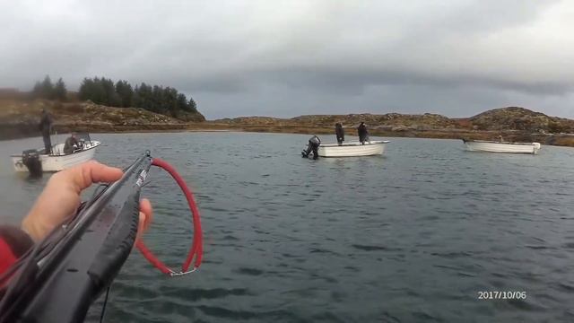 Норвегия , Хитра, Часть 1, Spearfishing 2017.охота рыбалка Pathos Sniper 105 Xiaomi YI 4k plus смотреть онлайн