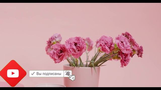 Жевала по 2 бутона ГВОЗДИКИ в день что произвела с моим организмом! + Вред гвоздики смотреть онлайн
